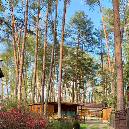 Osrodek Eldorado - Letniskowe *