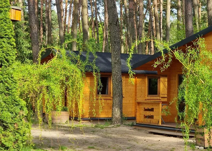 Osrodek Eldorado - Letniskowe