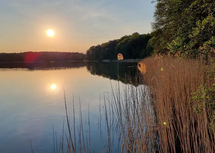 Tatil parkı Osrodek Eldorado - Letniskowe